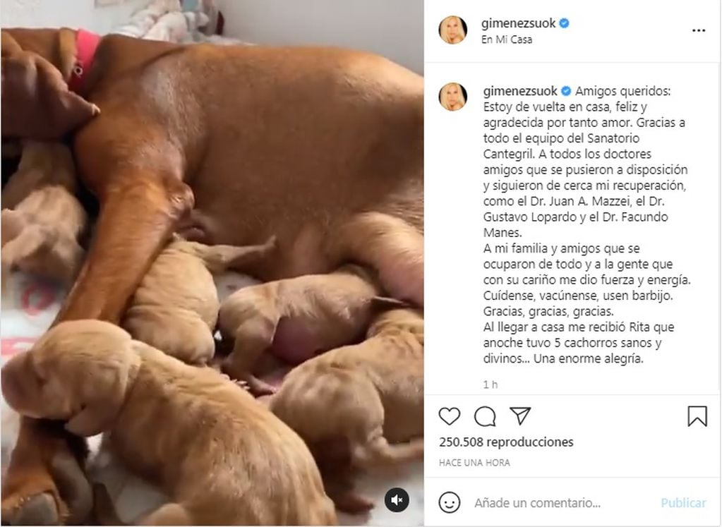 El mensaje de Susana y la imagen de sus mascotas (Foto: Instagram)