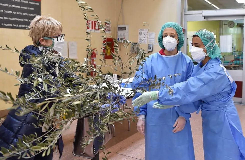 Turin (Italy), 05/04/2020.- Olive twigs are placed for decorations on the occasion of the Palm Sunday by the medical teams treating Coronavirus COVID-19 emergency patients, at the Molinette hospital in Turin, Italy, 05 April 2020. Italy has been under four weeks of lockdown in a bid to halt the wide spread of coronavirus. Countries around the world are taking increased measures to stem the widespread of the SARS-CoV-2 coronavirus which causes the COVID-19 disease. (Italia) EFE/EPA/ALESSANDRO DI MARCO