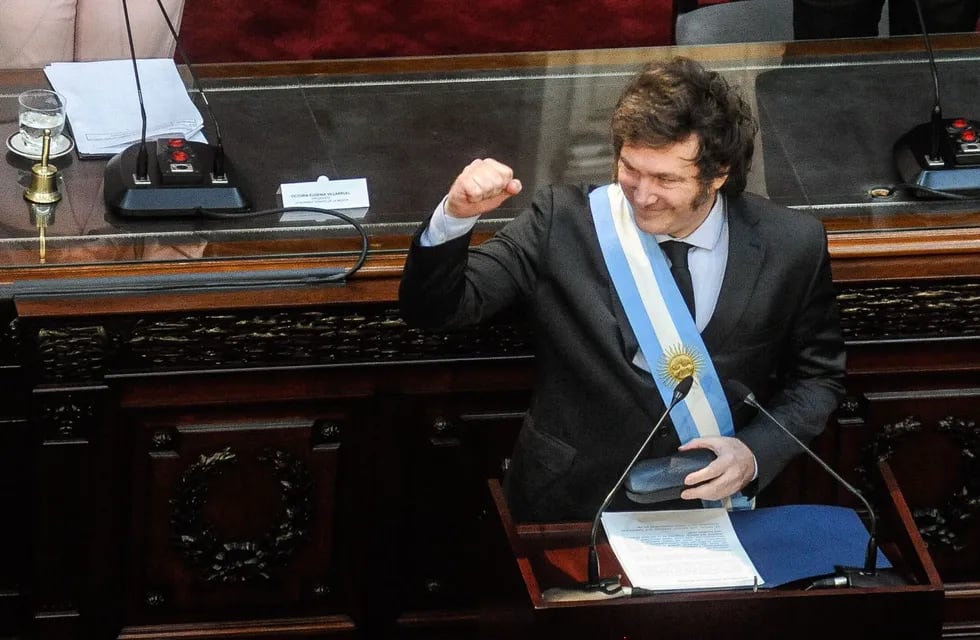 El presidente Javier Milei consiguió sus dos primeras leyes (Foto: Federico López Claro)