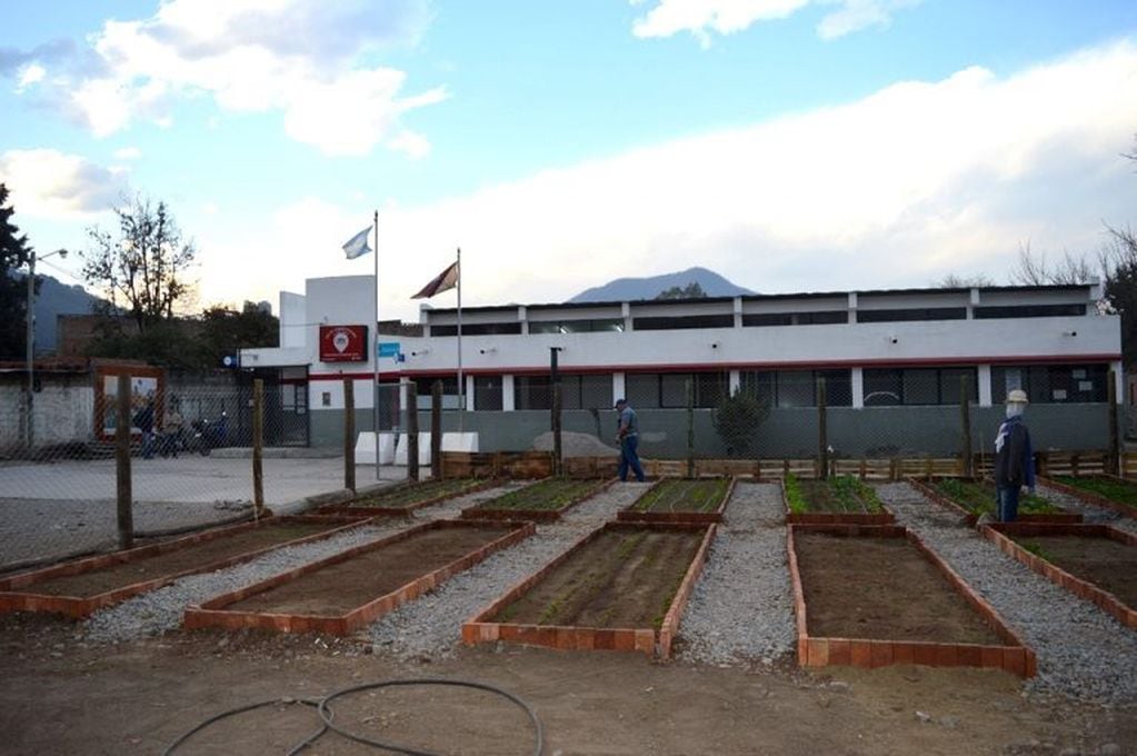 Crece la huerta comunitaria del CIC de Constitución (Municipalidad de Salta)