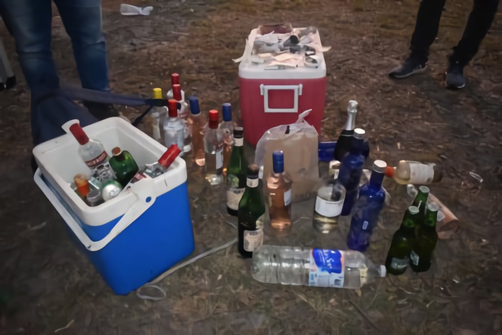 Numerosas bebidas alcohólicas fueron decomisadas.