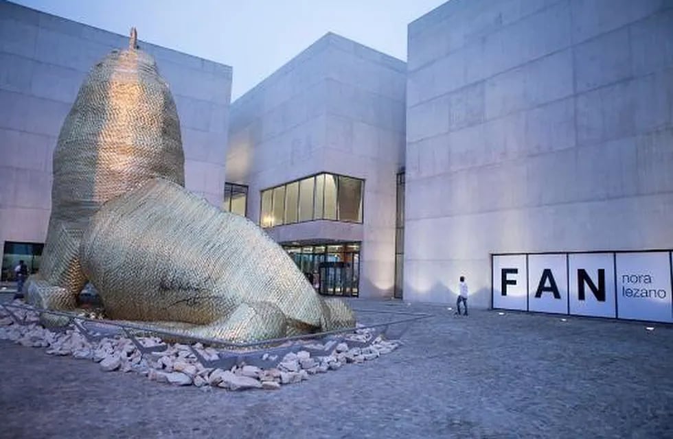 Muestra científica e interactiva en el Museo MAR de la ciudad de Mar del Plata