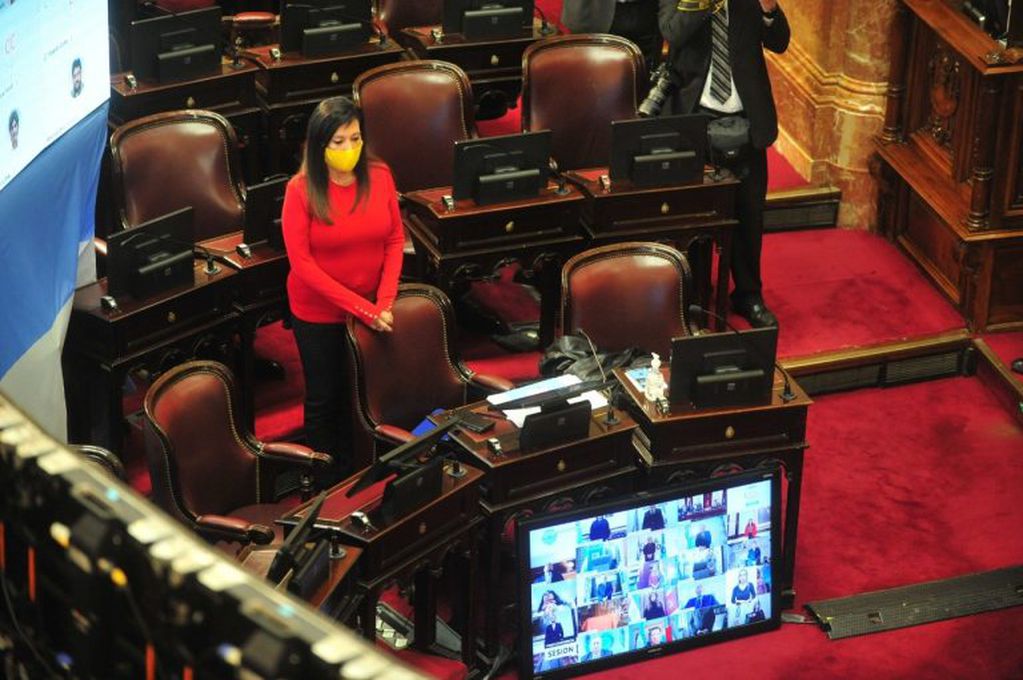(Foto: Prensa Senado)