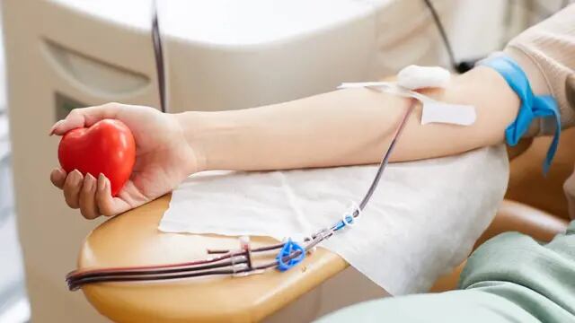 14 de junio, día del donante de sangre