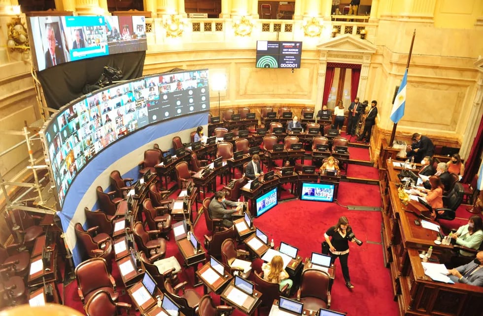 Cámara del Senado. (Foto: Clarín)