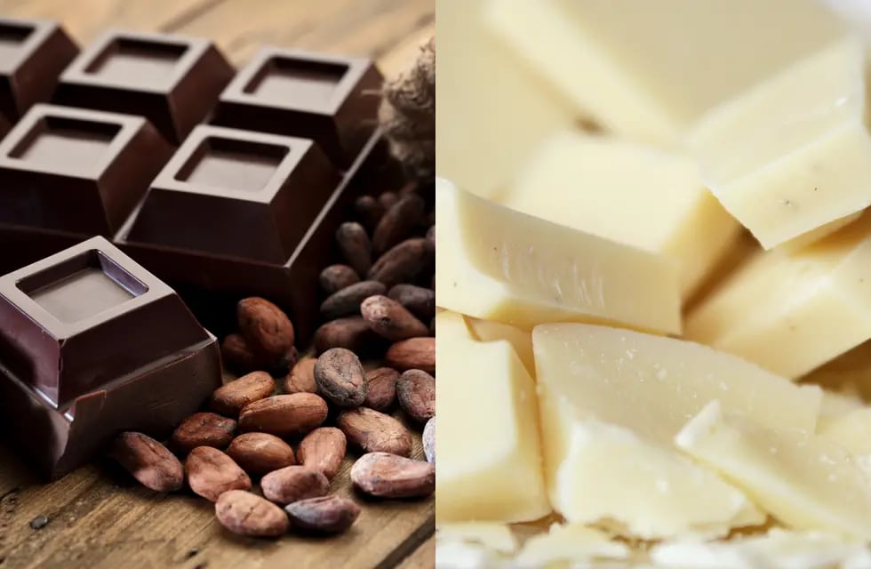 Cuál chocolate es mejor para la salud: el blanco o el negro.