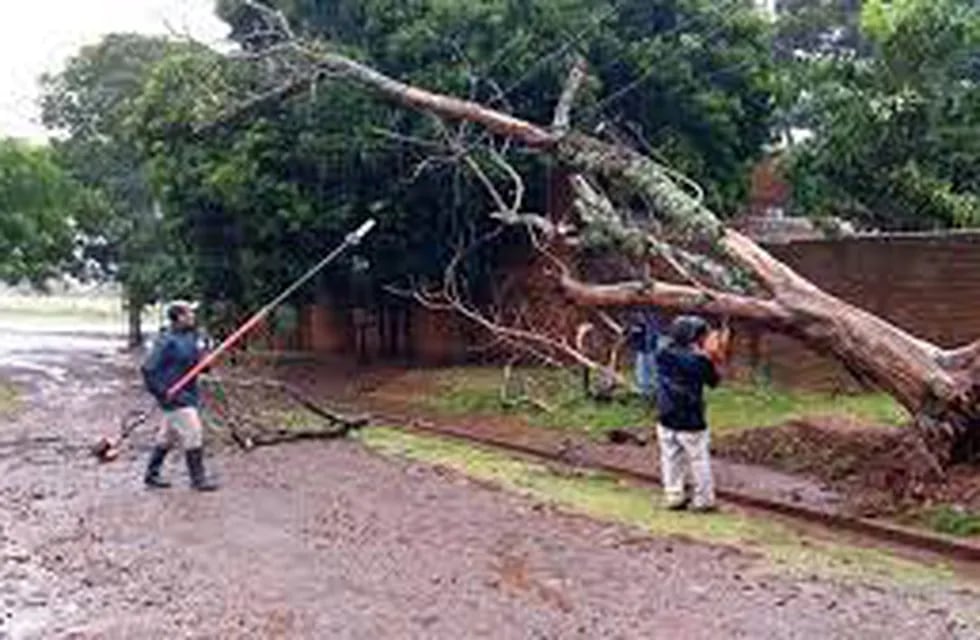 Caída de árboles y fallas de energía eléctrica en Eldorado