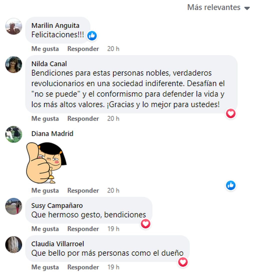 Usuarios de Facebook comentaron sobre el lindo gesto que tuvo un local en Mendoza que albergó a perritos callejeros
