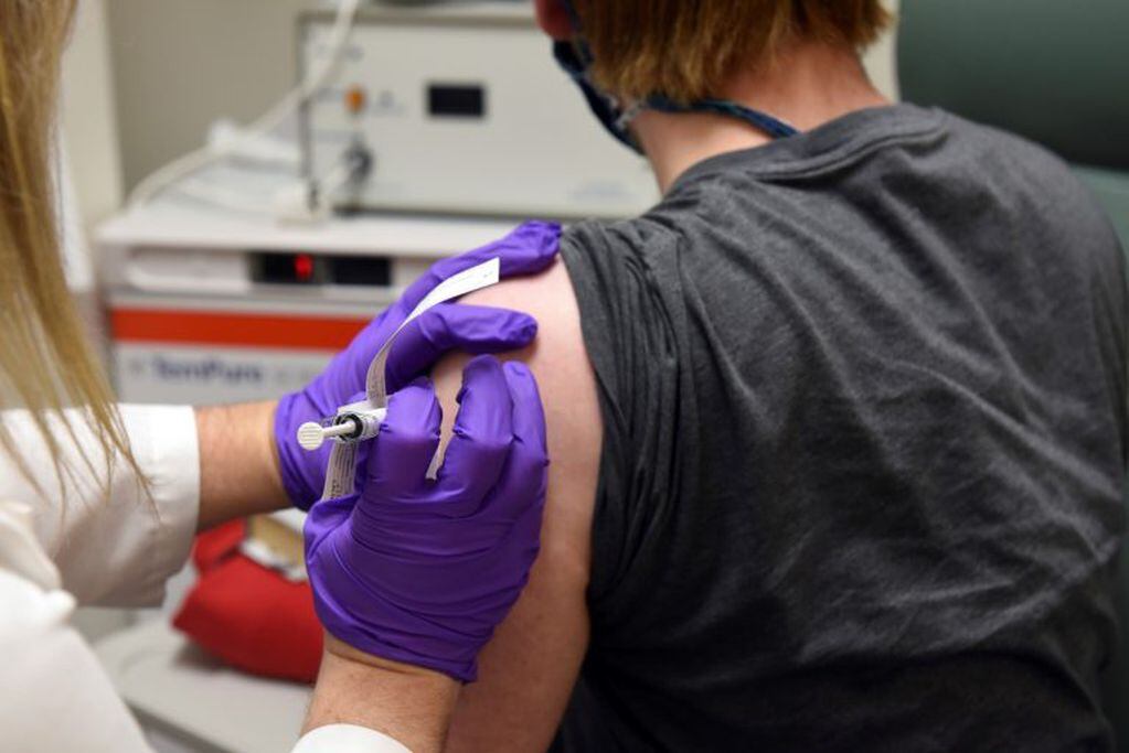 Pruebas para la vacuna de Pfizer contra el coronavirus  (University of Maryland School of Medicine via AP)