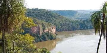El Ministerio de Ecología de Misiones adquirió 17 hectáreas de Andresito que serán una Reserva Natural