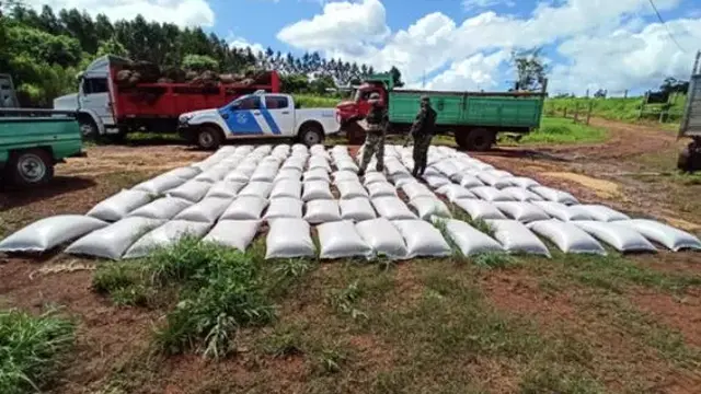 Efectivos de Prefectura Naval secuestraron más de 17 toneladas de cereal ilegal en El Soberbio