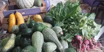 Verduras donadas a madres cocinando