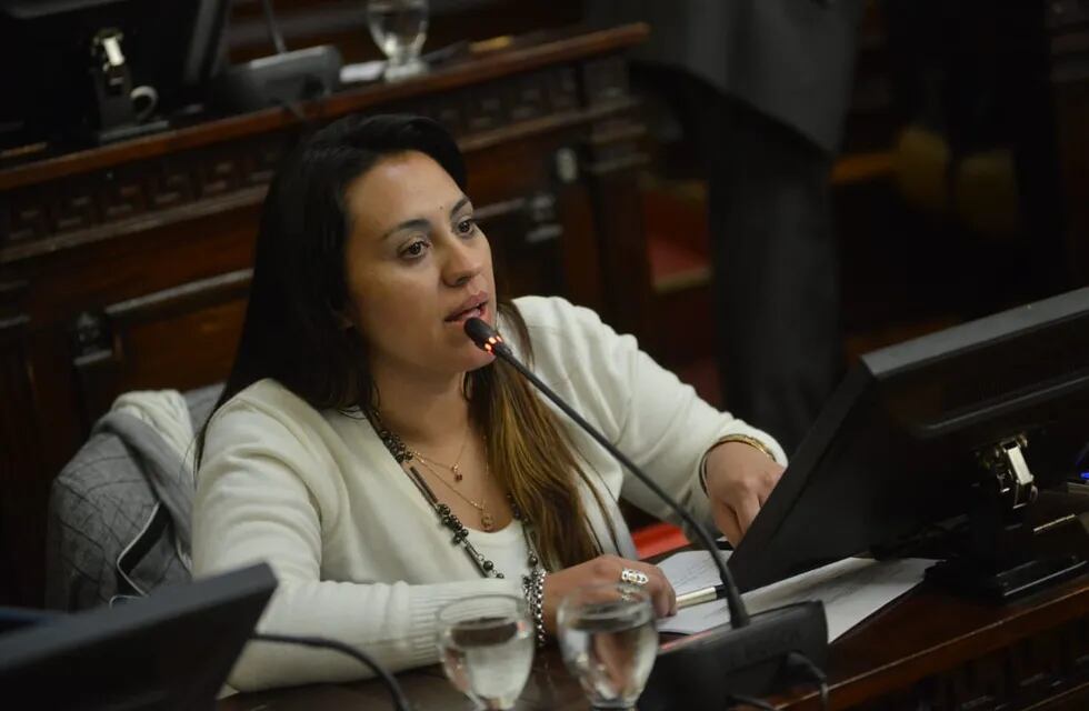 Silvina Camiolo (senadora de Frente de Todos) Mendoza.