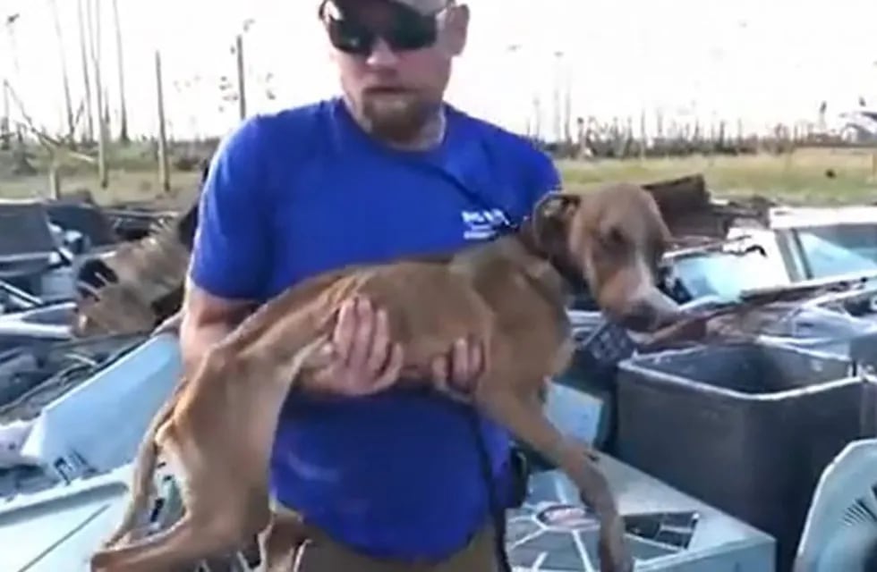 El emotivo rescate de un perrito que sobrevivió al huracán Dorian (Web)