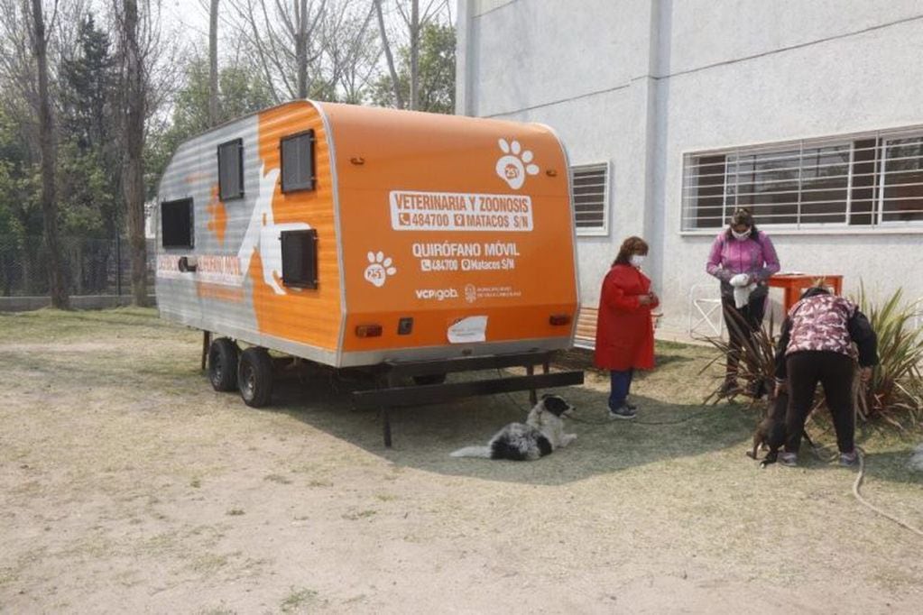 Este lunes comenzó a funcionar el quirófano móvil para castraciones de perros y gatos en Carlos Paz