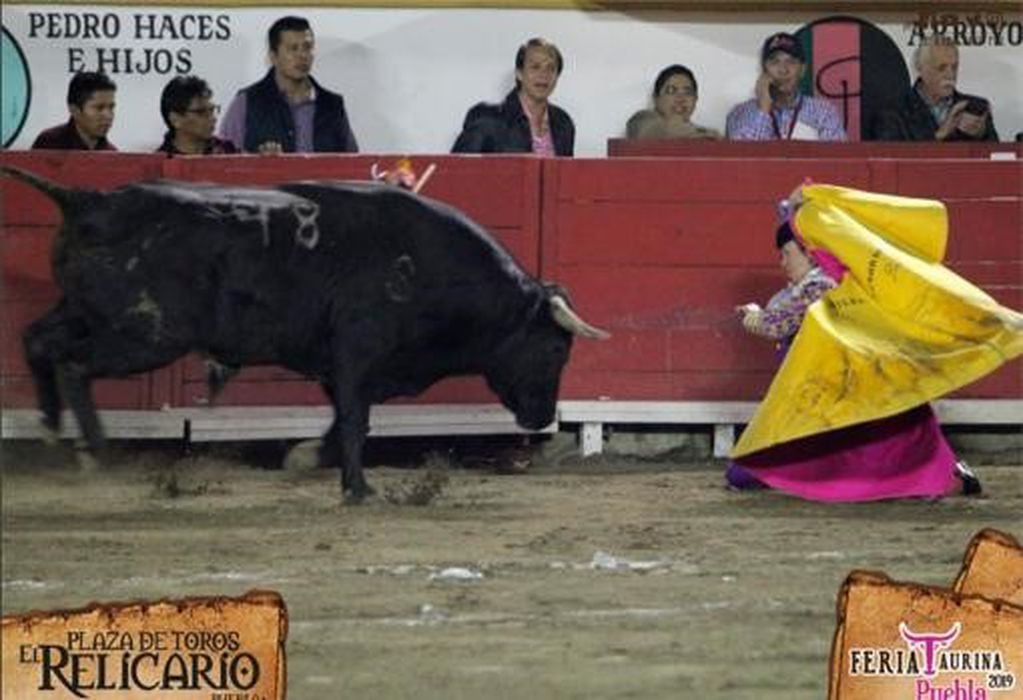 El momento en el que un toro atacó en la cara a una matadora mexicana