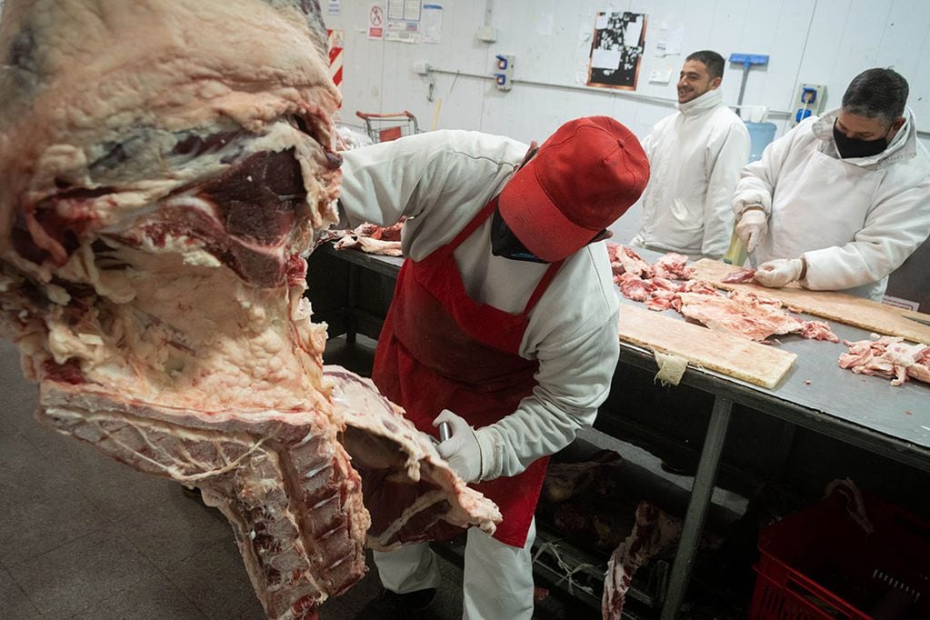 El Gobierno estableció un plazo para la adecuación del sistema de troceo de la carne.