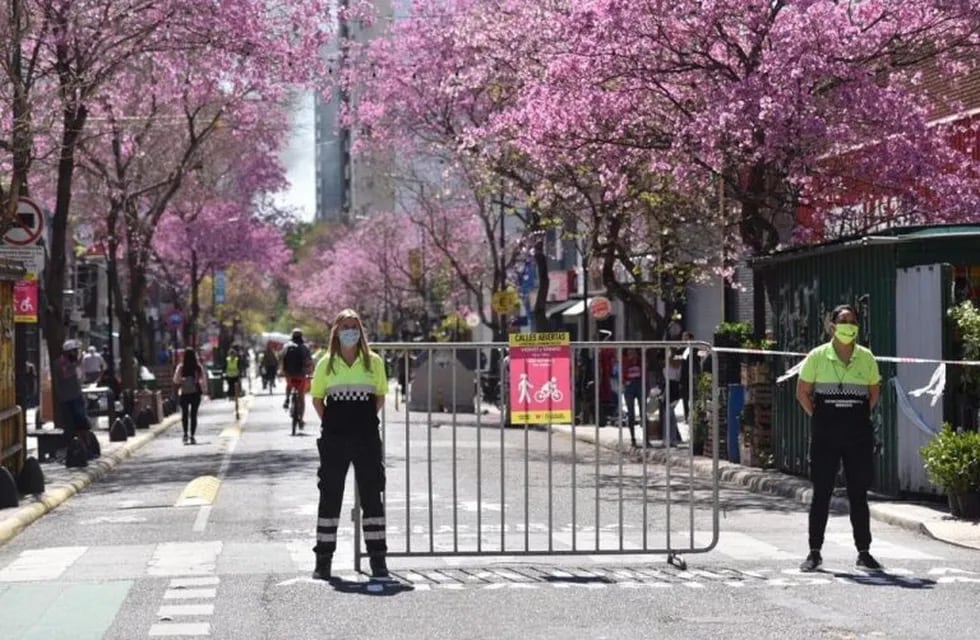 Vuelven a peatonalizar corredores platenses por el Día Mundial del Urbanismo (Municipalidad de La Plata)