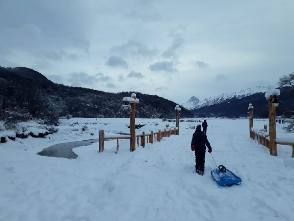 Invierno en Ushuaia, el trineo nunca falla