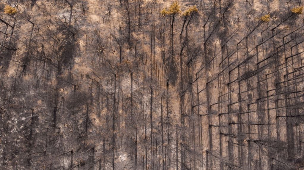 Incendio forestal en la zona de Cuesta del Ternero en cercanías de El Bolsón.