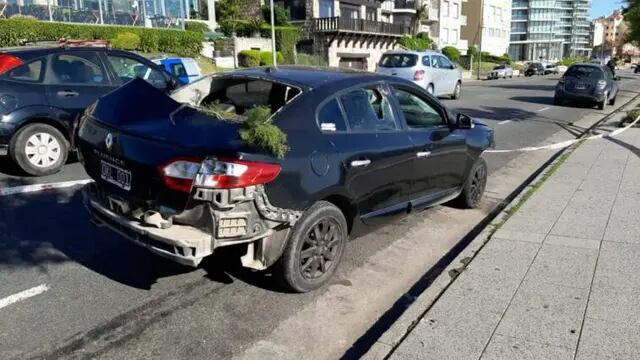 El conductor que provocó daños deberá pagar una multa