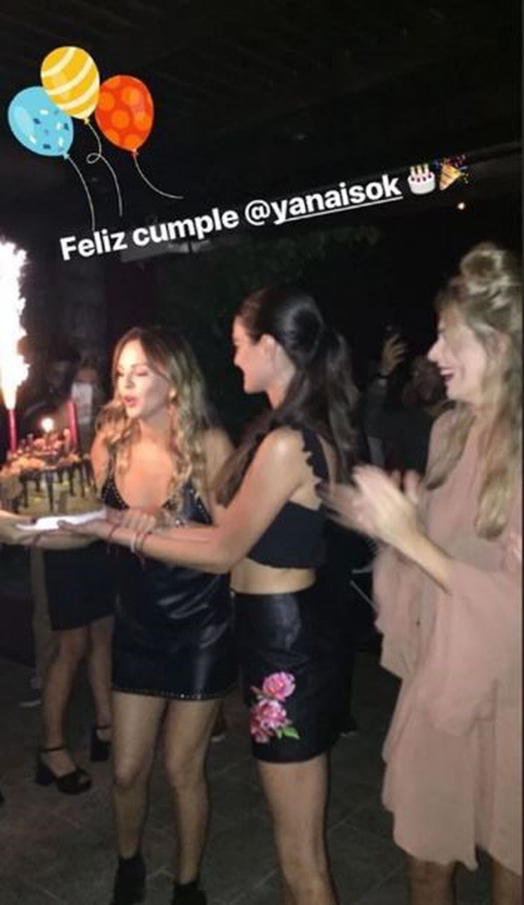 El festejo de cumpleaños de Yanina Screpante