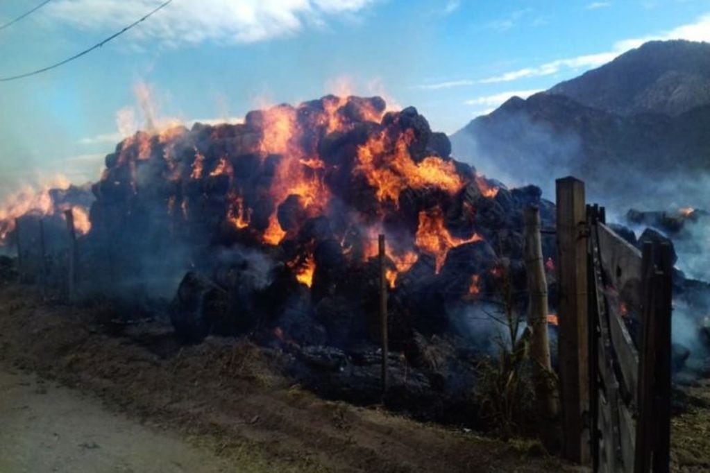 Un incendio consumió 25 hectáreas de pastizales en Cachi. (Policía de Salta)