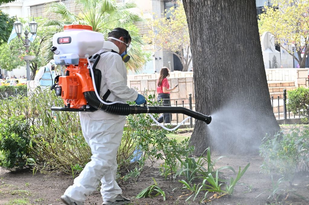 La nueva modalidad de aplicación contra el mosquito del dengue en Córdoba