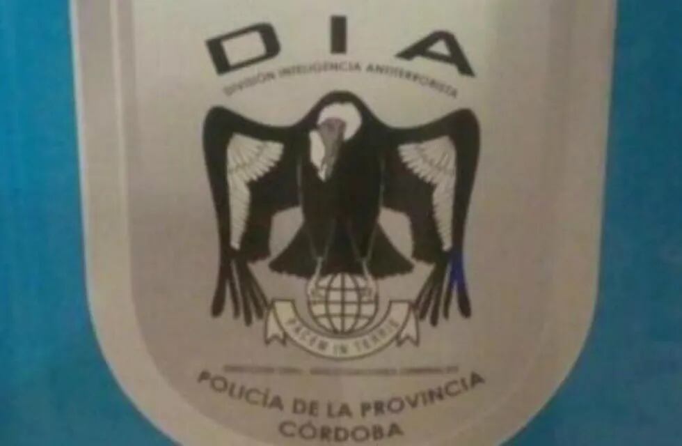 El nuevo escudo.