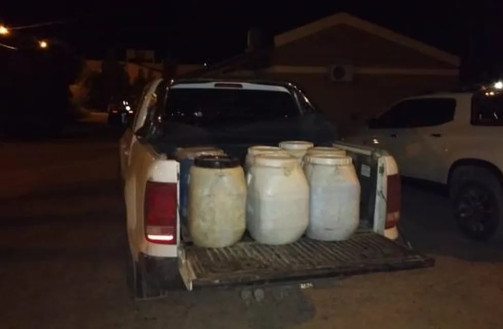 Encontraron un camión que trasportaba 300 kilos de ostras