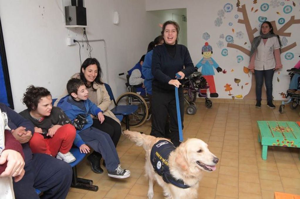 Lola y Zoe, las perritas de la División Canes de la Policía que ayudan en su terapia a chicos con discapacidad. (Prensa Gobierno)