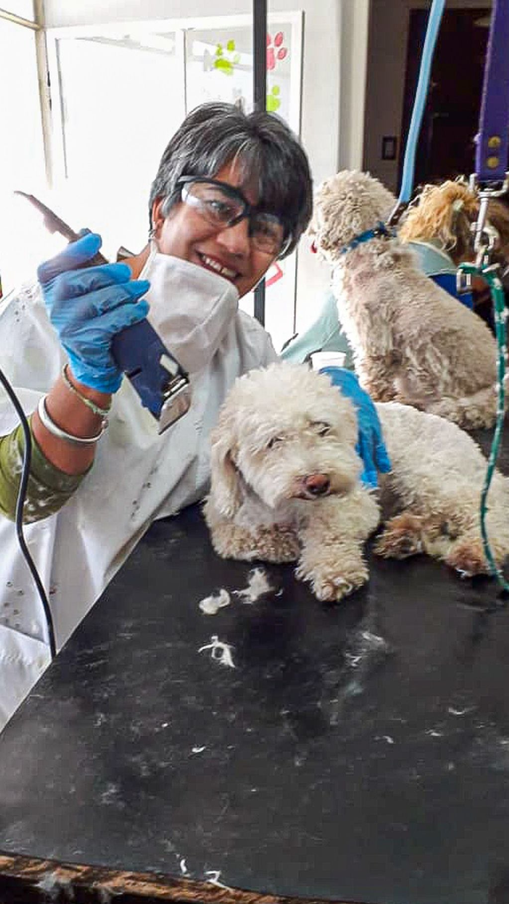 Sandra Abaca, peluquera canina. Recomienda extremar los cuidados con el calor, pero no rapar a los animalitos.