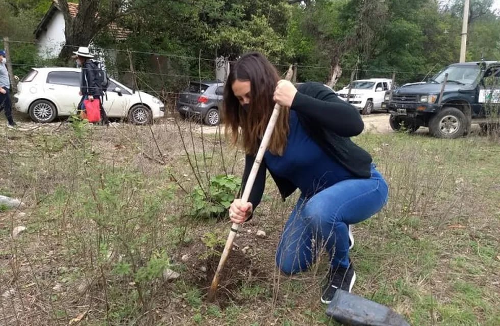 Plantaron 500 nuevos árboles nativos en la Reserva Natural Vaquerías, Valle Hermoso. (Foto: Facebook / Municipalidad de Valle Hermoso).