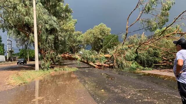 Fuerte tormenta dejó sin luz a la zona Este de Mendoza