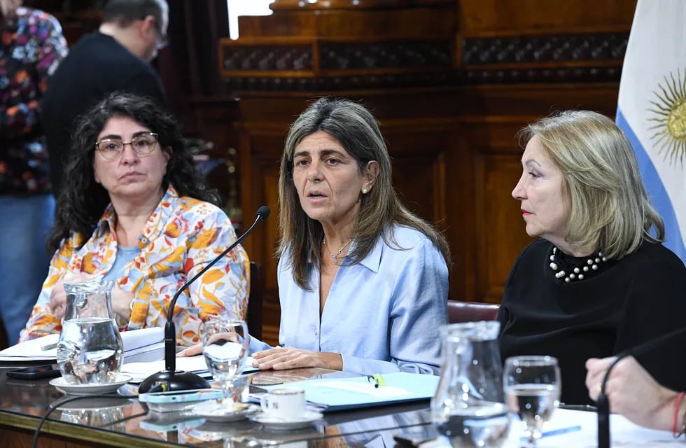 Las senadoras Ana María Ianni (izquierda) y Mariana Juri (centro), autoras de los proyectos que recibieron dictamen (Foto: Comunicación Senado)