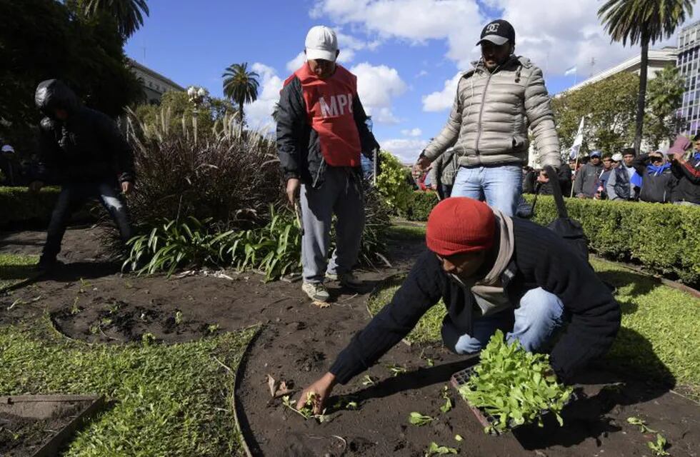 Farmers' plant lettuce and celery in e flowerbed during a farmers' protest at Plaza de Mayo square near the Casa Rosada presidential palace in Buenos Aires, on April 26, 2017. \r\nFarmers gave away 40 tons of produce before souing lettuce and celery on flowerbed of Plaza de Mayo square, during a protest against the high cost of living for small farmers and in demand of credit to buy land. / AFP PHOTO / JUAN MABROMATA ciudad de buenos aires  protesta de productores de verduras en la plaza de mayo verdurazo productores regalan frutas y verduras a la gente crisis economia regionales reclamo ley de emergencia economica