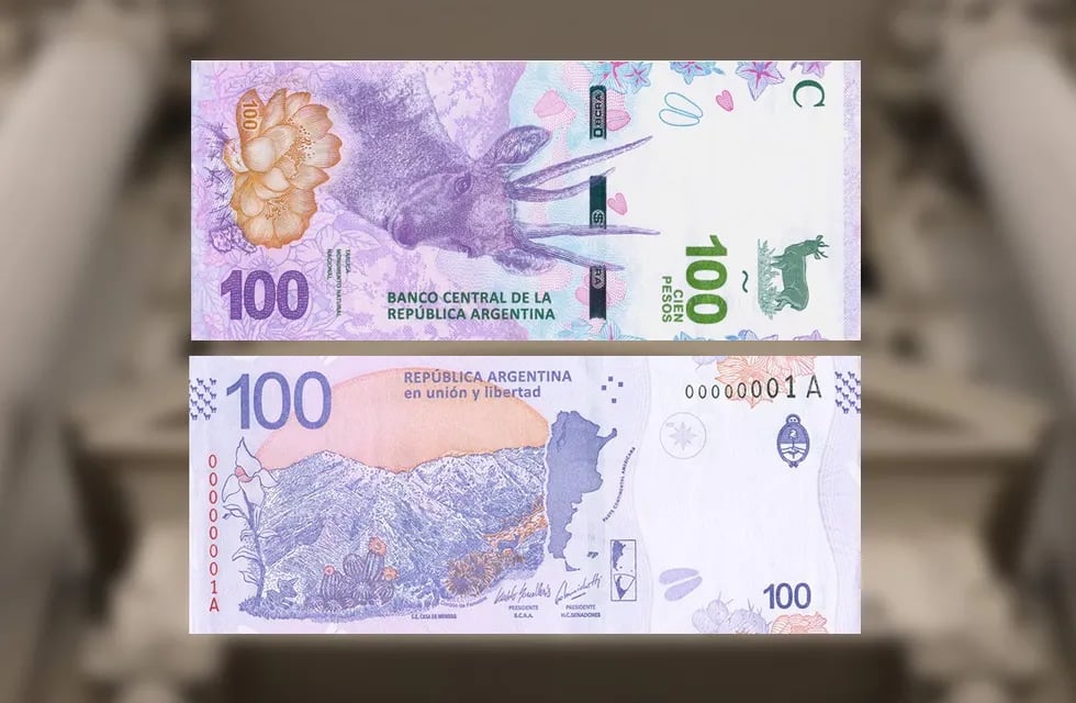 El último diseño del billete de $100, luego de haber lucido la imagen de Julio Argentino Roca y de Eva Perón. Foto: Archivo.
