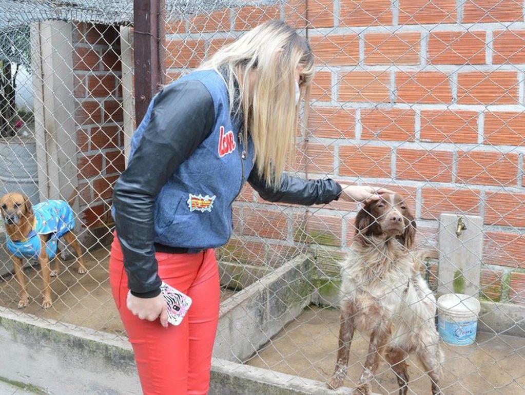 Esta semana los servicios de castración y vacunación de mascotas estarán restringidos (Municipalidad de Salta)
