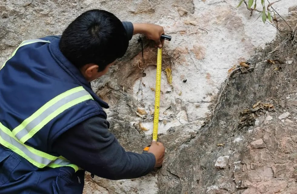 Descubren más pisadas de dinosaurios en municipio de Tarija (Bolivia)