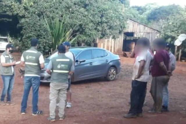 San Pedro: la Policía junto al INYM detectaron otro punto de acopio ilegal de yerba mate