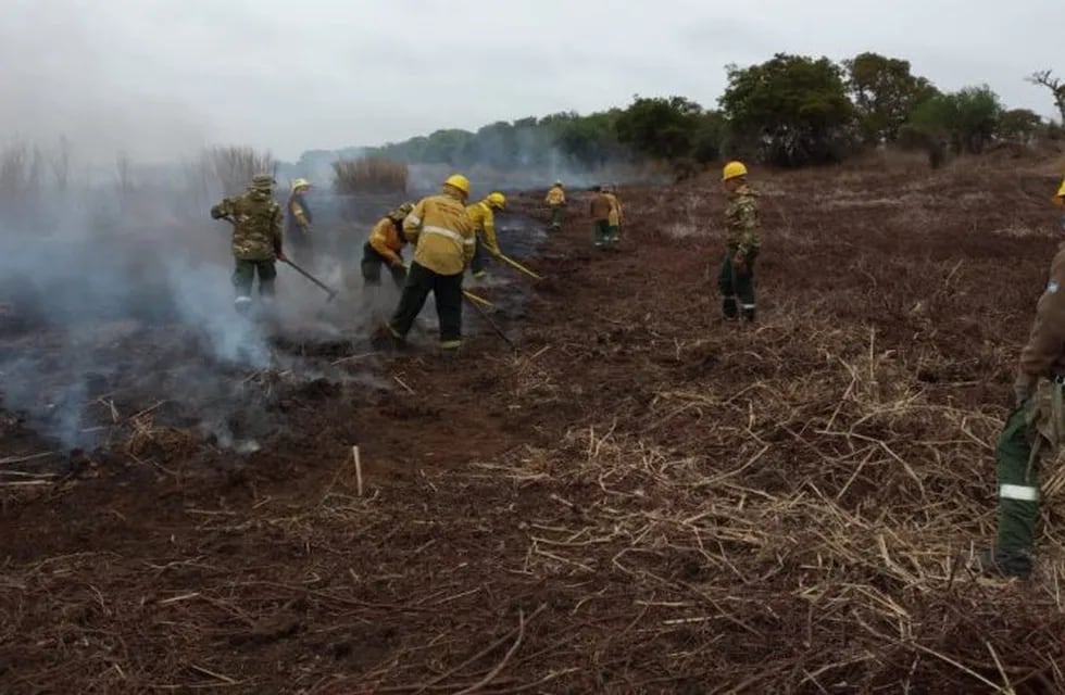 Brigadistas trabajaron este domingo en la isla El Encanto para evitar el avance de las llamas. (@juanmburgoa)
