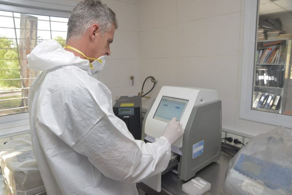 Detección de coronavirus en Mendoza. Foto: Gobierno de Mendoza.