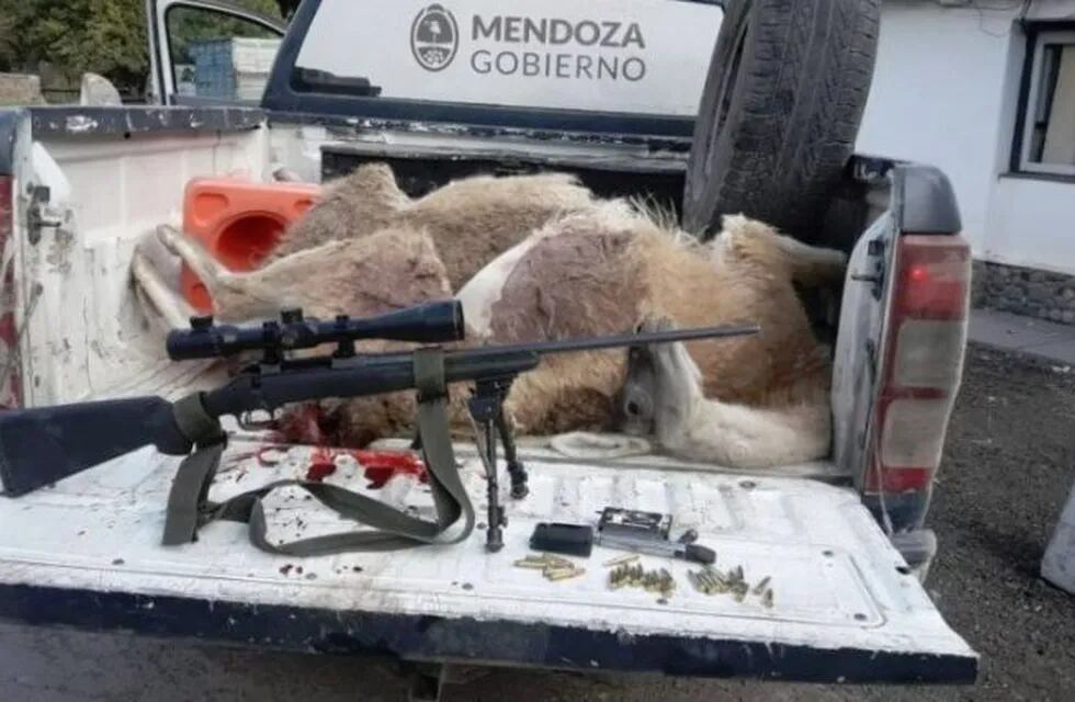cazadores de guanacos Mendoza
