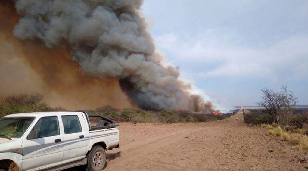 El fuego afectó unas 4.000 hectáreas de monte de caldén (Infopico)
