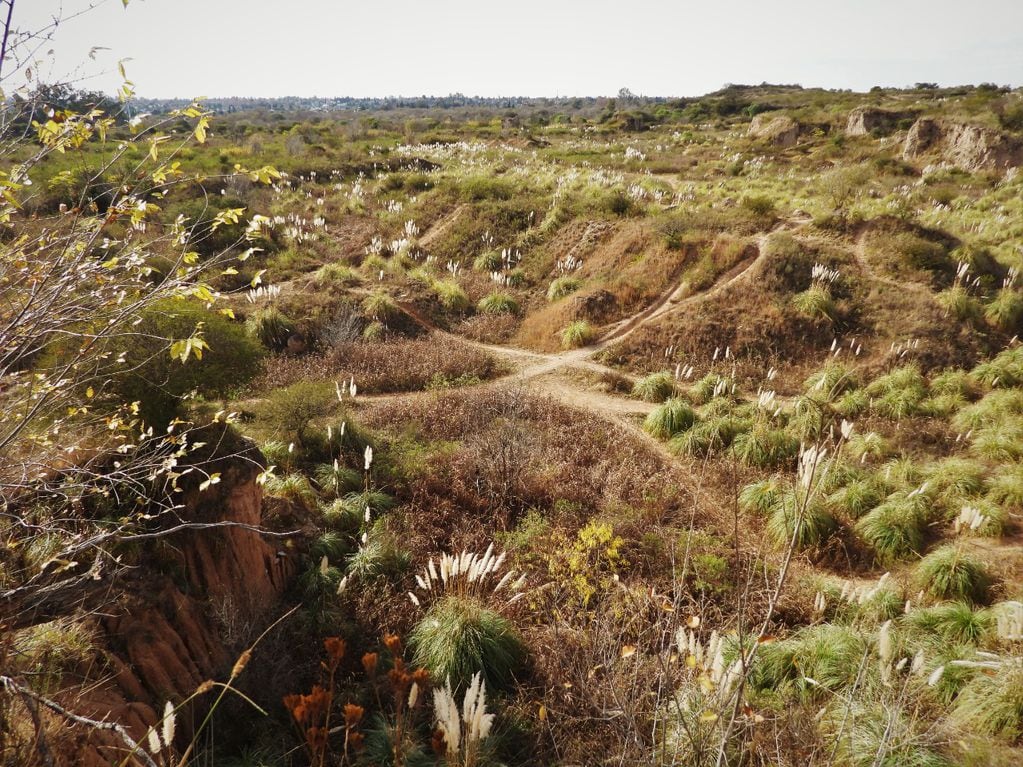 La Reserva Natural San Martín presenta 200 especies de plantas.