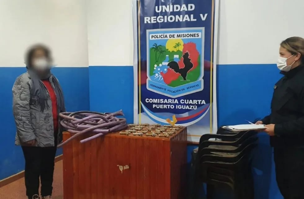 Efectivos policiales lograron recuperar elementos robados de un establecimiento escolar en Puerto Iguazú.
