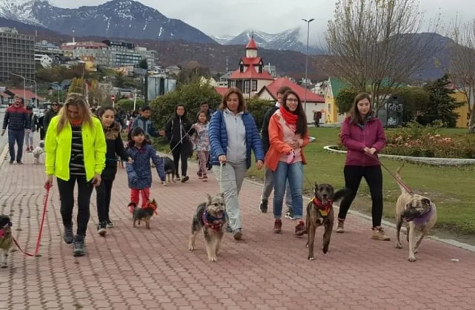 Caninata Solidaria - Ushuaia