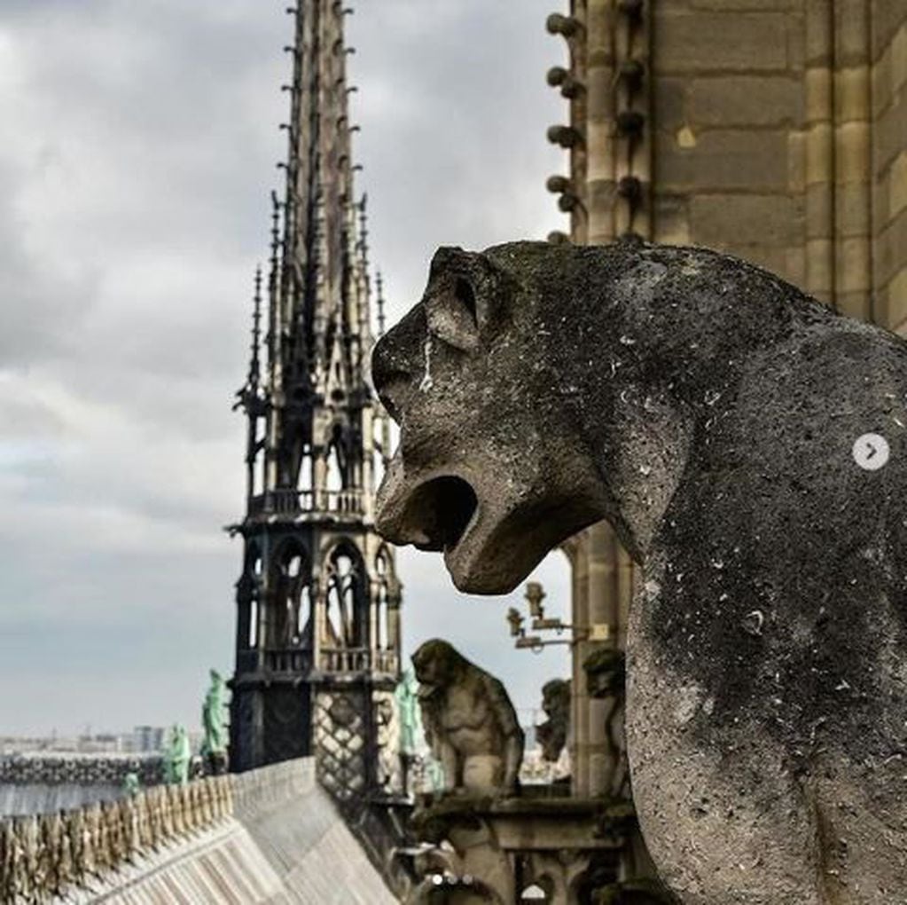 Las gárgolas se imponen para defender la catedral de Notre Dame en París (Fuente: Instagram)