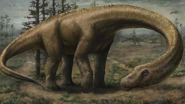 DINOSAURIOS. El trabajo confirma una de la teorías evolutivas más antiguas, que sostenía que el antepasado común de todos los mamíferos era un animal nocturno.