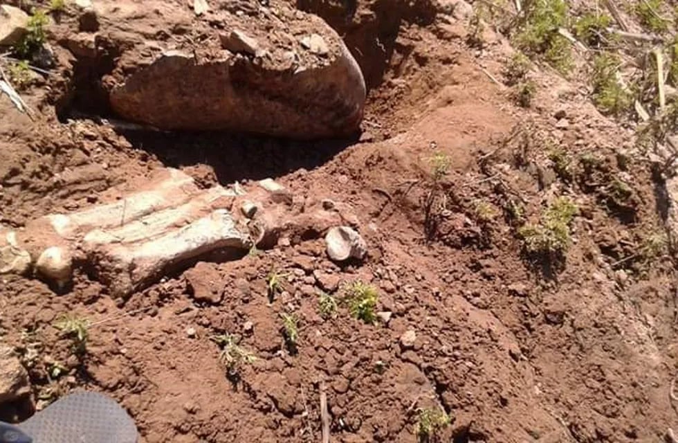 Los restos fueron encontrados en Arroyo Seco